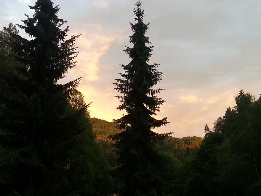 Penzion Pod Houskou Blatce Kültér fotó