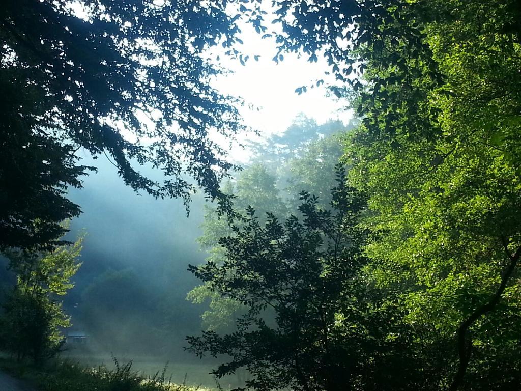 Penzion Pod Houskou Blatce Kültér fotó
